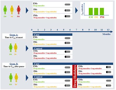 Addressing Adherence Using Genotype-Specific PBPK Modeling—Impact of Drug Holidays on Tamoxifen and Endoxifen Plasma Levels